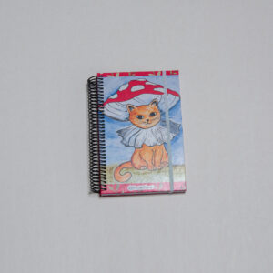 AGENDA GATO NARANJO