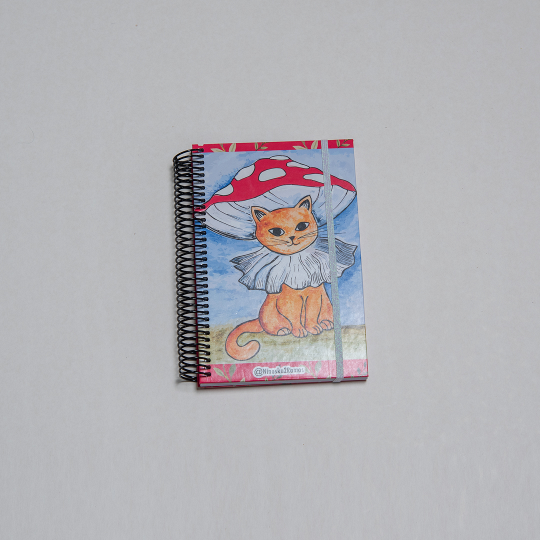 AGENDA GATO NARANJO