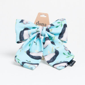 Moño Coquette - Pingüino de Hümboldt