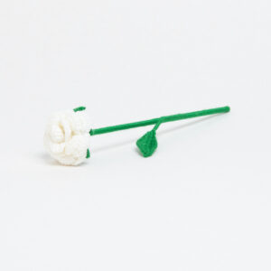 ROSA BLANCA